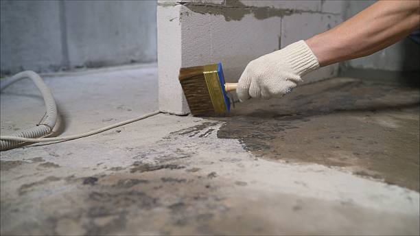 SJ Waterproofing Pros Emergency Waterproofing coverage map for Jenison, MI and surrounding area